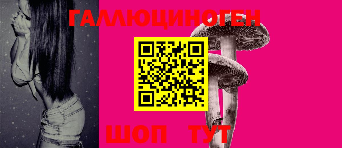 Псилоцибиновые грибы GOLDEN TEACHER  Вход с VPN  как найти   Псилоцибиновые грибы Psilocybe  Шахты 